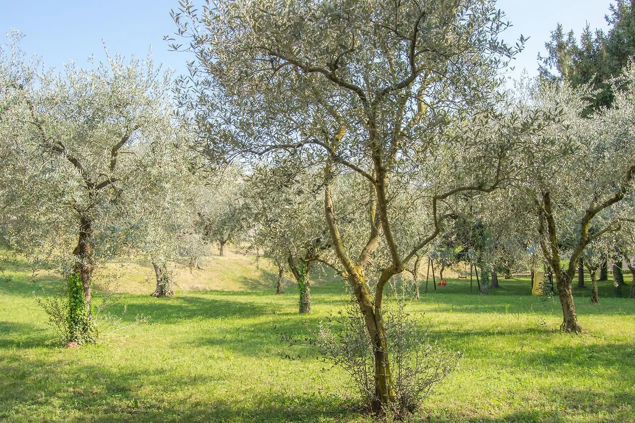 Residence Liana Albisano Torri Del Benaco Italia